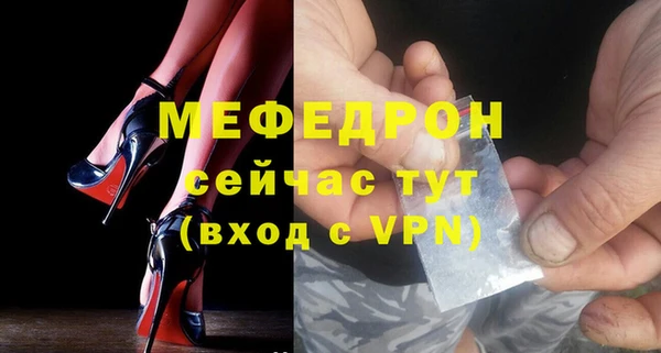 мдпв Инсар