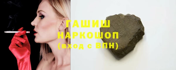 мдпв Инсар