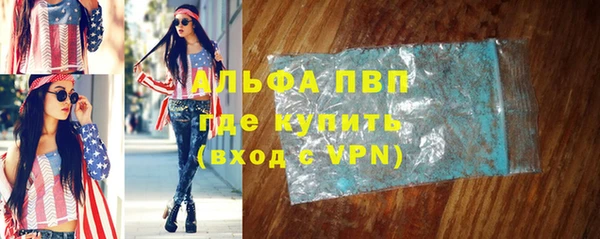 мдпв Инсар