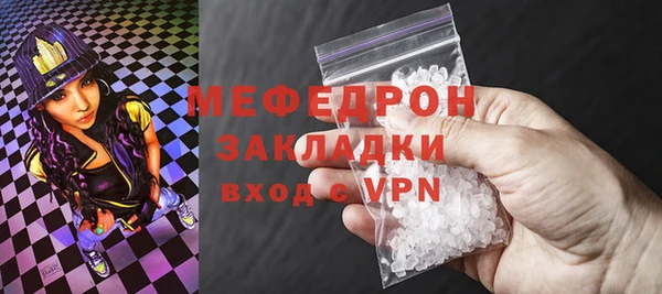 мдпв Инсар