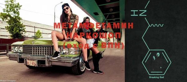мдпв Инсар