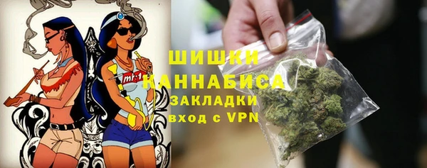 спайс Каменка