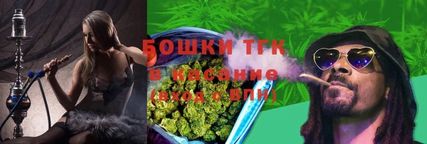 мдпв Инсар
