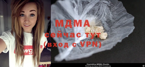 мдпв Инсар