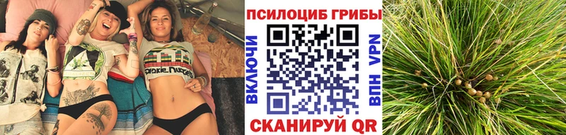 Псилоцибиновые грибы мицелий  даркнет сайт  Батайск 